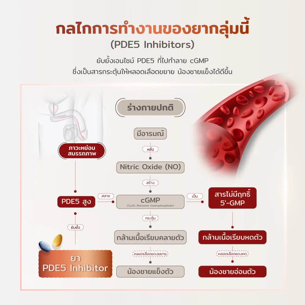 Sildenafil Tadalafil ยาช่วยแข็ง 3